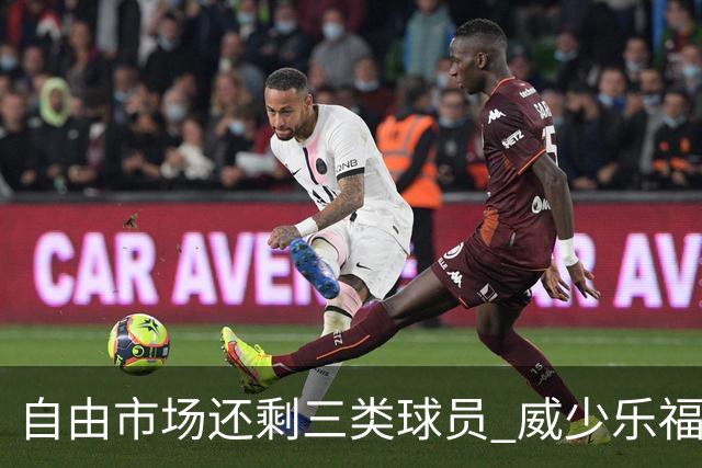 自由市场还剩三类球员 威少乐福领衔失业大军？
